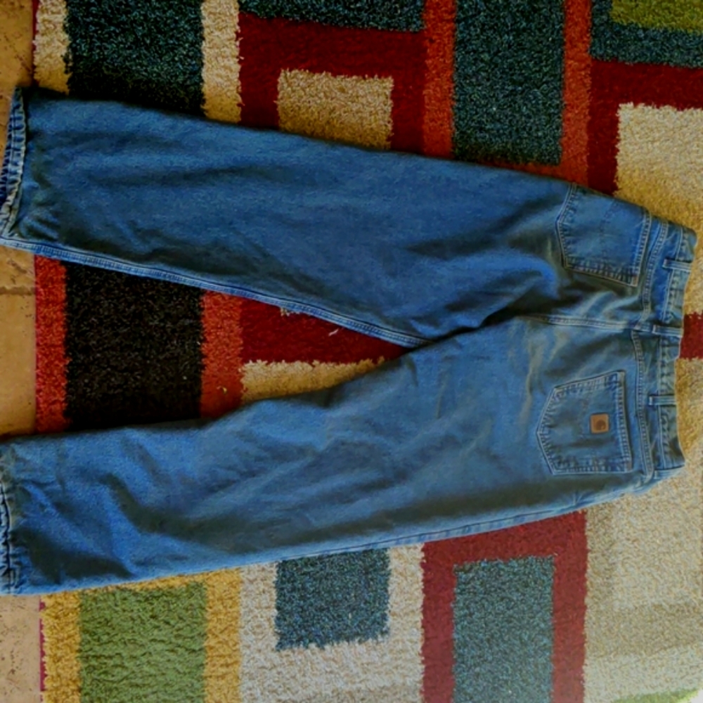 Carhartt Fleece Lined Jeans